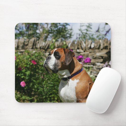 Boxer Dog in de bloemen Muismat (Met muis)
