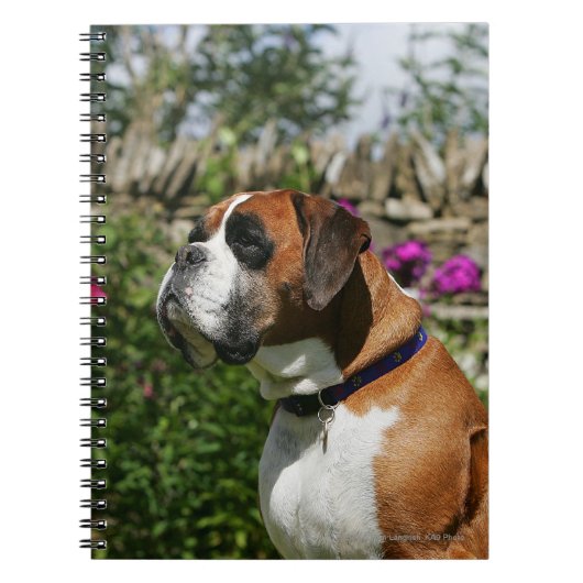 Boxer Dog in de bloemen Notitieboek (Voorkant)