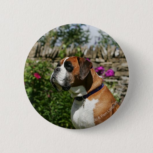 Boxer Dog in de bloemen Ronde Button 5,7 Cm (Voorkant)