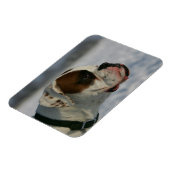Boxer Dog in de sneeuw Magneet (Linkerzijde)