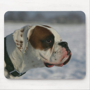 Boxer Dog in de sneeuw Muismat