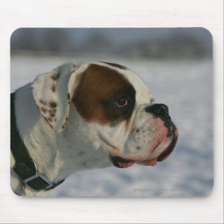 Boxer Dog in de sneeuw Muismat