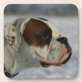 Boxer Dog in de sneeuw Onderzetter (Voorkant)