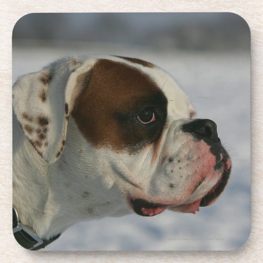 Boxer Dog in de sneeuw Onderzetter (Voorkant)