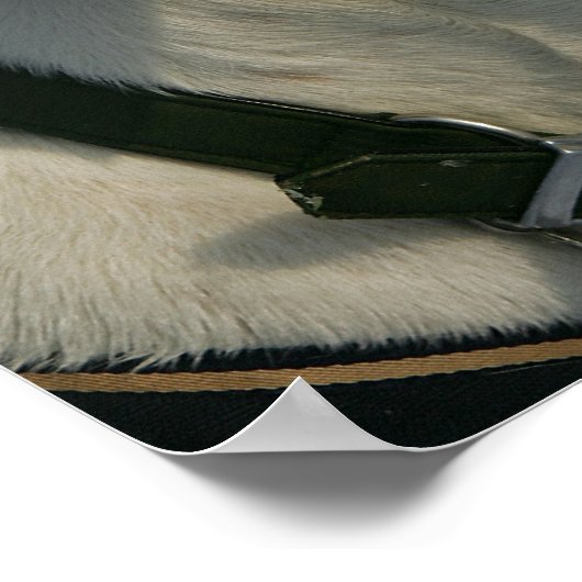 Boxer Dog in de sneeuw Poster (Hoek)