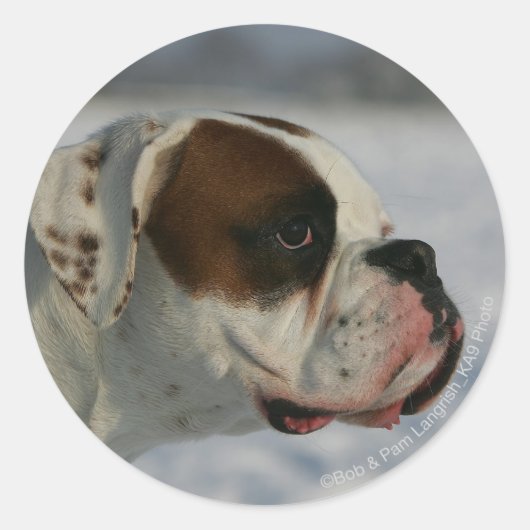 Boxer Dog in de sneeuw Ronde Sticker (Voorkant)