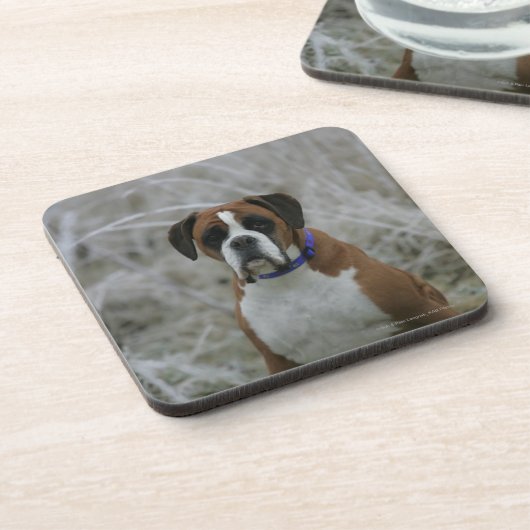 Boxer Dog in de vorst Bier Onderzetter (Linkerzijde)