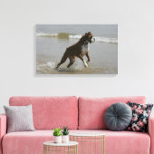 Boxer Dog in water Canvas Afdruk (Insitu (Woonkamer))