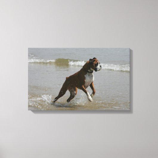 Boxer Dog in water Canvas Afdruk (Voorkant)
