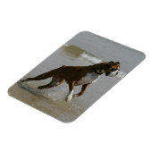 Boxer Dog in water Magneet (Linkerzijde)