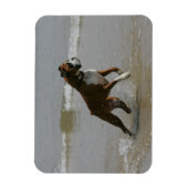 Boxer Dog in water Magneet (Verticaal)
