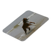 Boxer Dog in water Magneet (Linkerzijde)