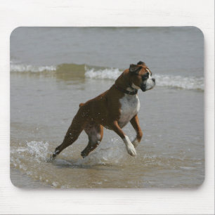 Boxer Dog in water Muismat