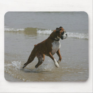 Boxer Dog in water Muismat