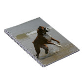 Boxer Dog in water Notitieboek (Rechterzijde)