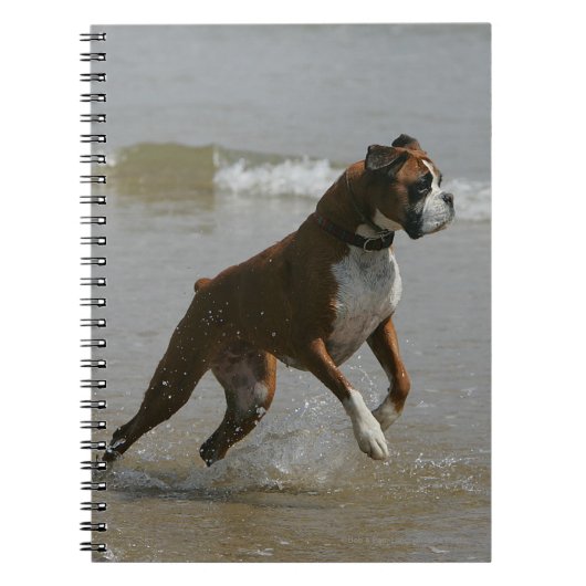 Boxer Dog in water Notitieboek (Voorkant)