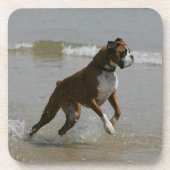 Boxer Dog in water Onderzetter (Voorkant)