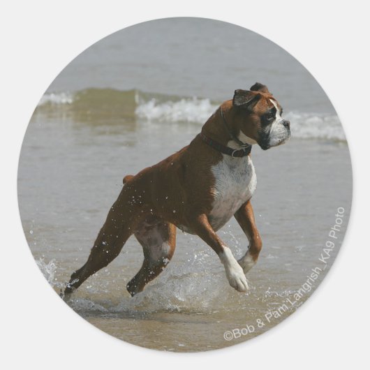 Boxer Dog in water Ronde Sticker (Voorkant)