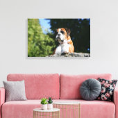 Boxer Dog Laying on a Rock Canvas Afdruk (Insitu (Woonkamer))