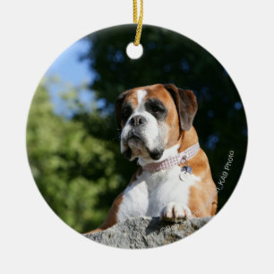 Boxer Dog Laying on a Rock Keramisch Ornament