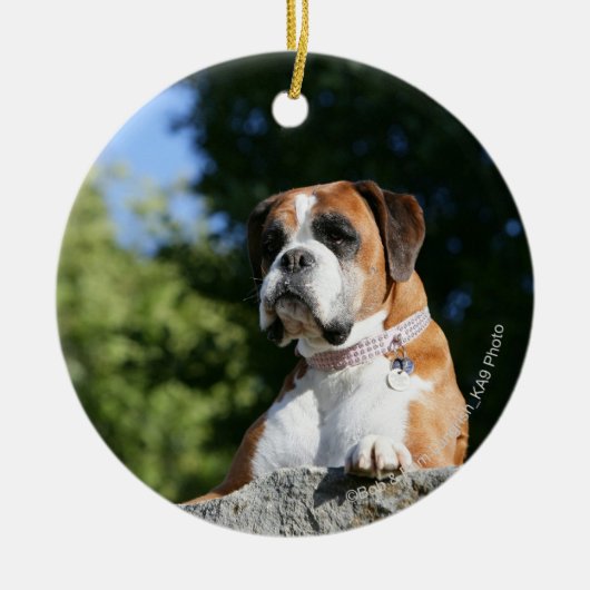 Boxer Dog Laying on a Rock Keramisch Ornament (Voorkant)