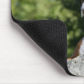 Boxer Dog Laying on a Rock Muismat (Hoek)