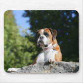 Boxer Dog Laying on a Rock Muismat (Voorkant)