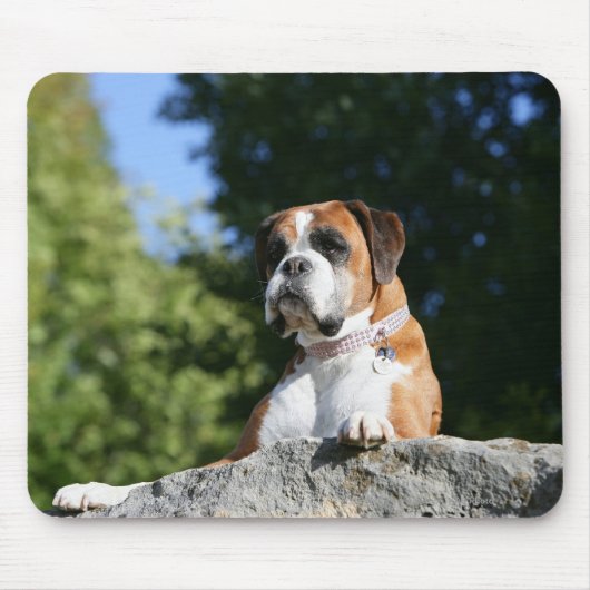 Boxer Dog Laying on a Rock Muismat (Voorkant)