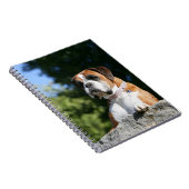Boxer Dog Laying on a Rock Notitieboek (Rechterzijde)