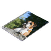 Boxer Dog Laying on a Rock Notitieboek (Linkerzijde)