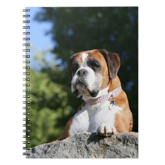 Boxer Dog Laying on a Rock Notitieboek (Voorkant)