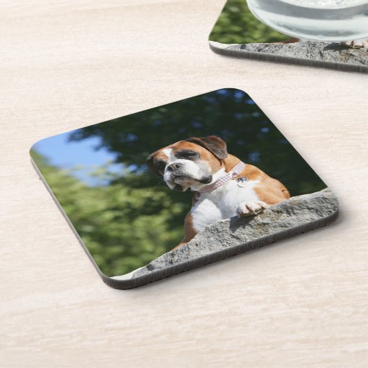 Boxer Dog Laying on a Rock Onderzetter (Linkerzijde)