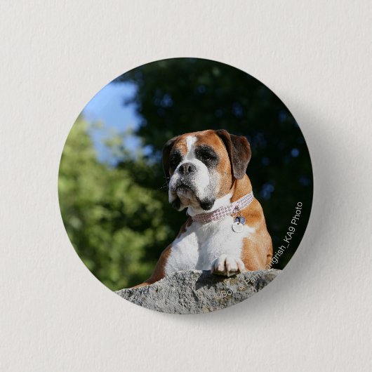 Boxer Dog Laying on a Rock Ronde Button 5,7 Cm (Voorkant)