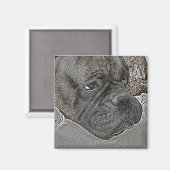 Boxer Dog Magnet (Voorkant / Achterkant)