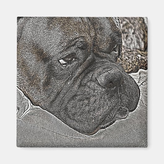 Boxer Dog Magnet (Voorkant)