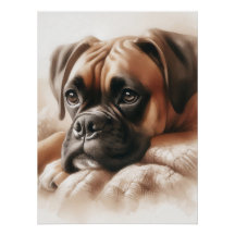 Boxer Dog: Meester van Chill & Expert Snuggler