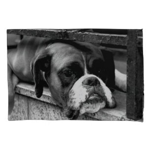 Boxer Dog on Windows sill bedpccn Kussensloop
