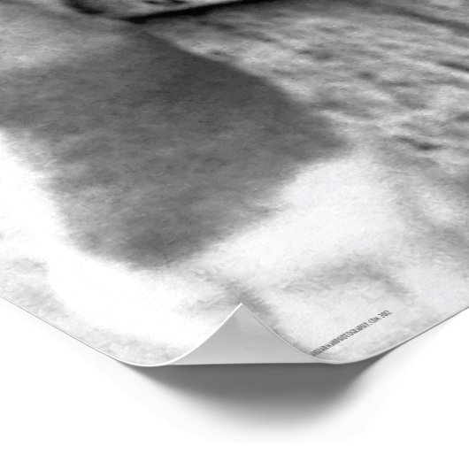 Boxer Dog on Windows Wisselaarc1 Poster (Hoek)