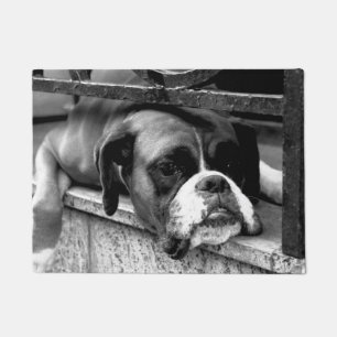 Boxer Dog On Windowsill dmcna Deurmat