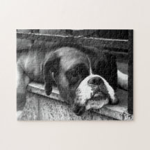 Boxer Dog op Windows 11x14 252pc jpcn