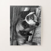 Boxer Dog op Windows 11x14 30pc jpcn Legpuzzel (Verticaal)