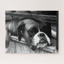 Boxer Dog op Windows 16x20 520pc jpcn