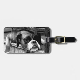Boxer Dog op WindowsHill CD LTCNM Bagagelabel