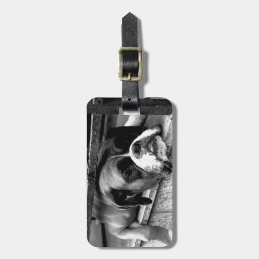 Boxer Dog op WindowsWillWill CD LTCNA Bagagelabel (Voorkant verticaal)