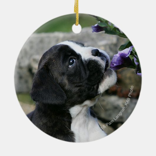 Boxer Dog Panting Keramisch Ornament (Achterkant)