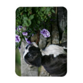 Boxer Dog Panting Magneet (Verticaal)