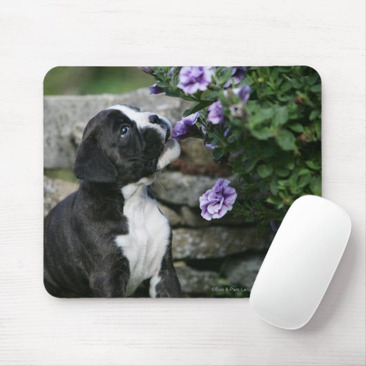 Boxer Dog Panting Muismat (Met muis)
