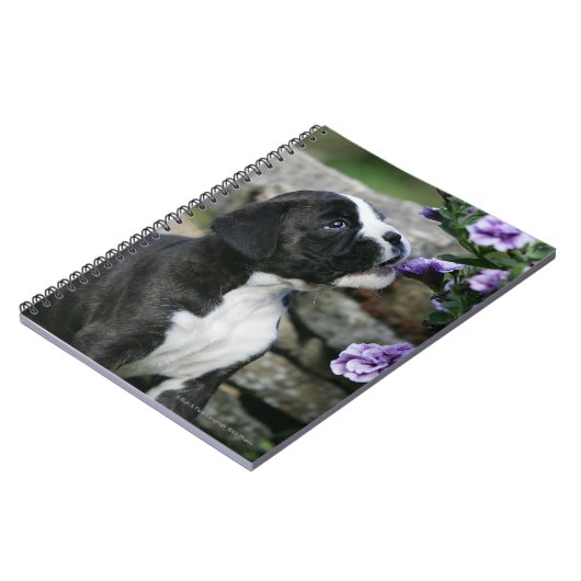 Boxer Dog Panting Notitieboek (Linkerzijde)