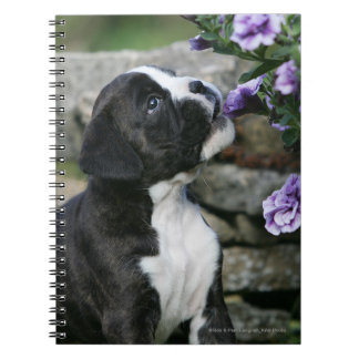 Boxer Dog Panting Notitieboek