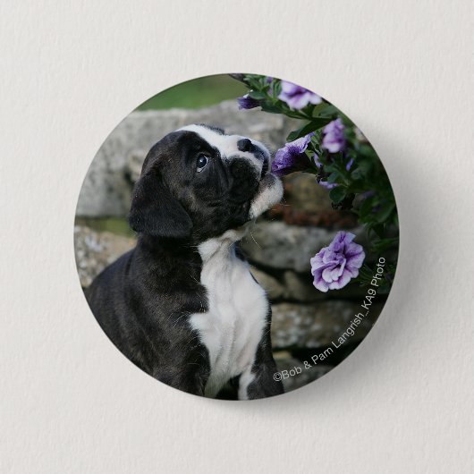 Boxer Dog Panting Ronde Button 5,7 Cm (Voorkant)